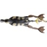Воблер SAVAGE GEAR 3D Hollow Duckling weedless L 10cm 40g 01-Natural 57392